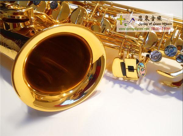 Berlioz S-701 Alto Saxophone 色士風