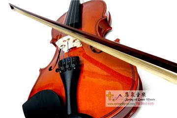 Violin (avaliable from 1/16 to 4/4)