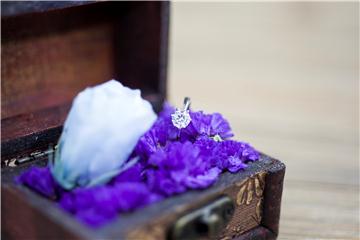 保鮮花 Preserved Love - Treasure Love