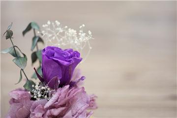 保鮮花 Preserved Love - Eternal