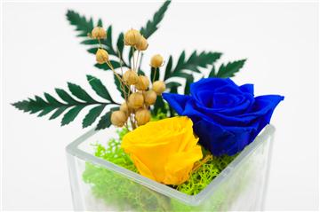 保鮮花 Preserved Love - 母?同行