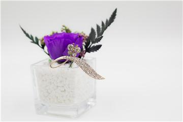 保鮮花 Preserved Love - 原愛