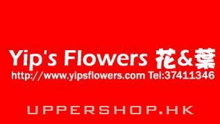 Yip's Flowers 花與葉