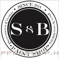 S&B paint shop 專業配色
