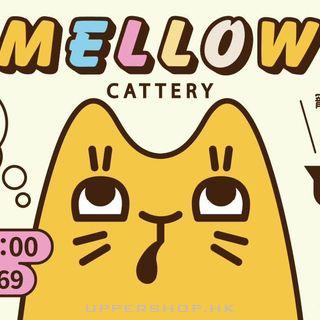 貓咪專門店 Mellow Cattery