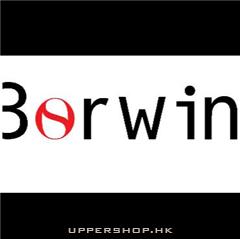 Borwin Digital 三陽數碼