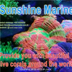 SunShine Marine