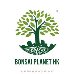 盆景星球Bonsai Planet - Hong Kong