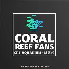 Coral Reef Fans 瑚礁粉