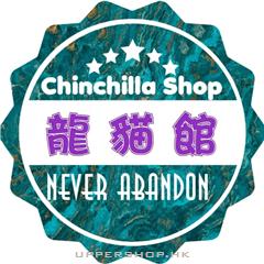 龍猫館 Chinchilla Shop