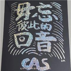 CAS Workshop Hong Kong