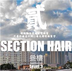 2 section hair