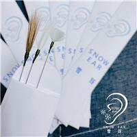 Snow Ear 雪耳 - 尖沙咀採耳店