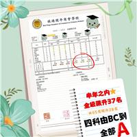 荳荳教育中心 Beans Education Centre 商舖圖片8