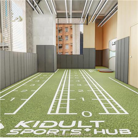 Kidult Sports Plus Hub