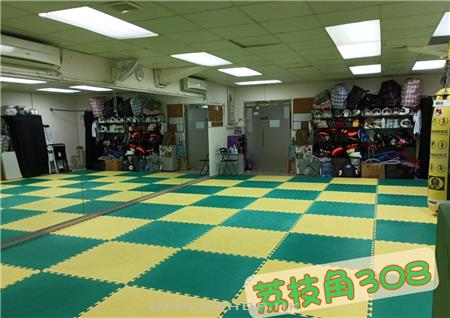 308dojo
