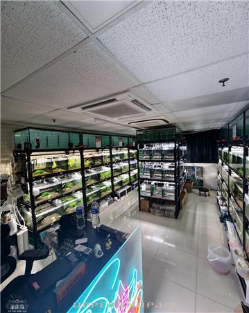XYZ 添蝦俱樂部 香港水晶蝦專賣店