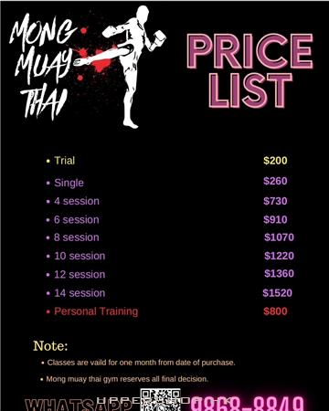 MONG MUAY THAI GYM 泰拳