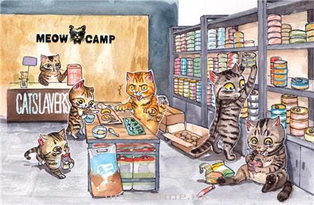貓貓大本營