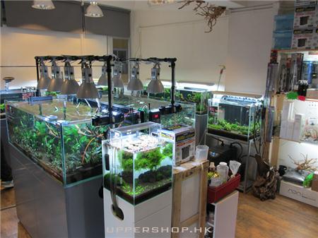 CO2 Aquarium Shop 商舖圖片1