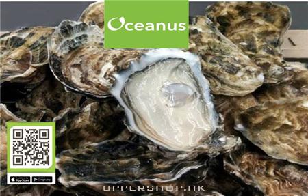 Oceanus生蠔環球高級食材