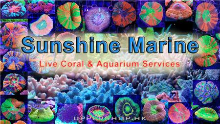 SunShine Marine 商舖圖片3