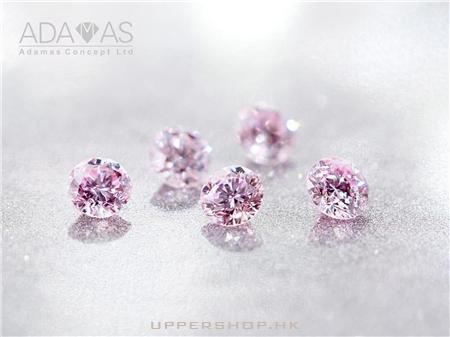 Adamas Diamond - GIA Certified 鑽石·婚戒專門店 商舖圖片2